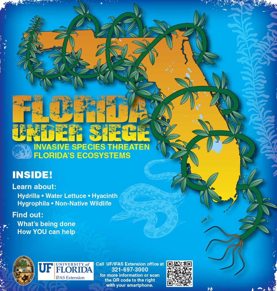University of Florida Collaboration Special Section cover