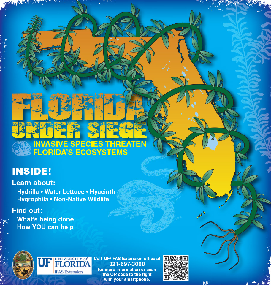 University of Florida Collaboration Special Section cover